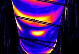 Flir Thermography